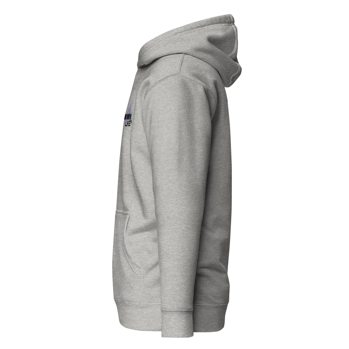 What Color Would you Like Hoodie - The Crappy Candles