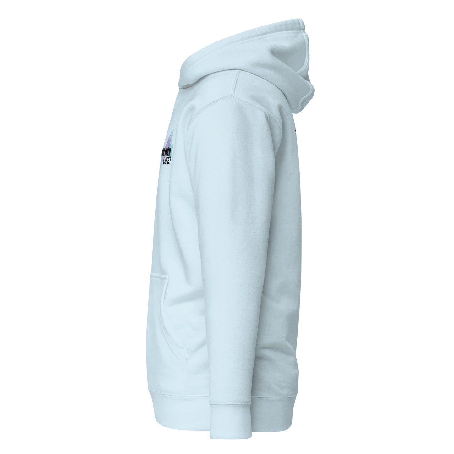 What Color Would you Like Hoodie - The Crappy Candles