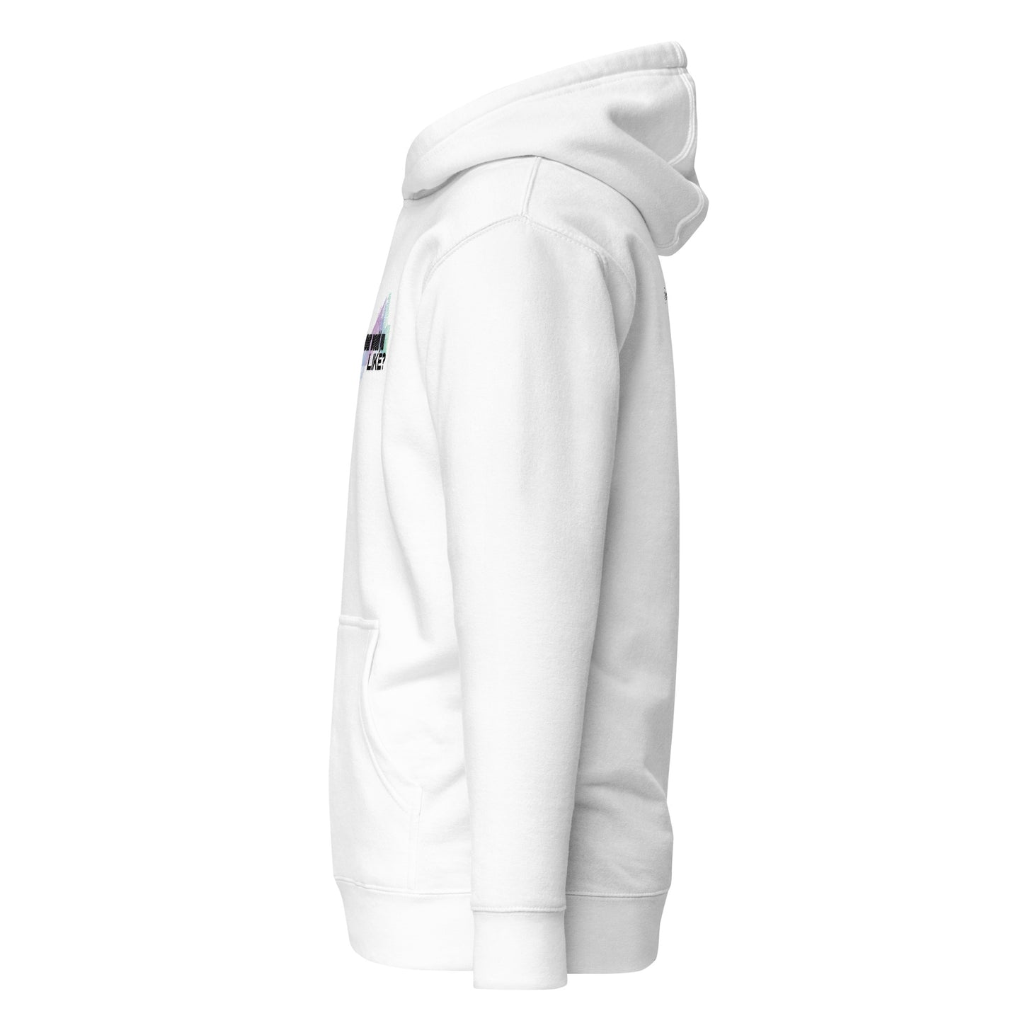 What Color Would you Like Hoodie - The Crappy Candles
