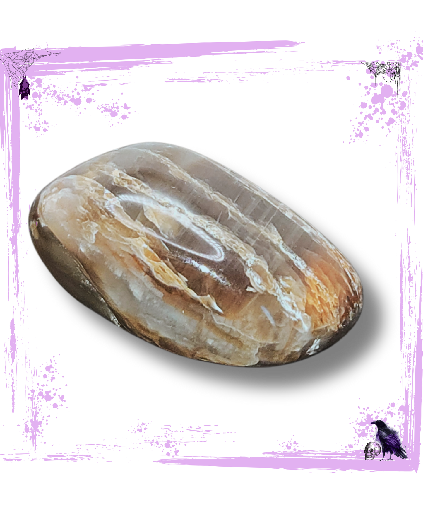 Petrified Wood - Tumbled