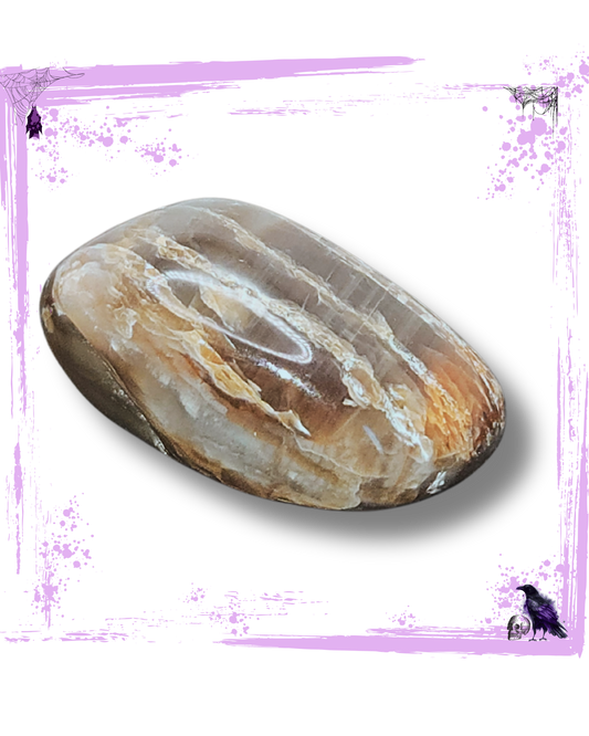 Petrified Wood - Tumbled