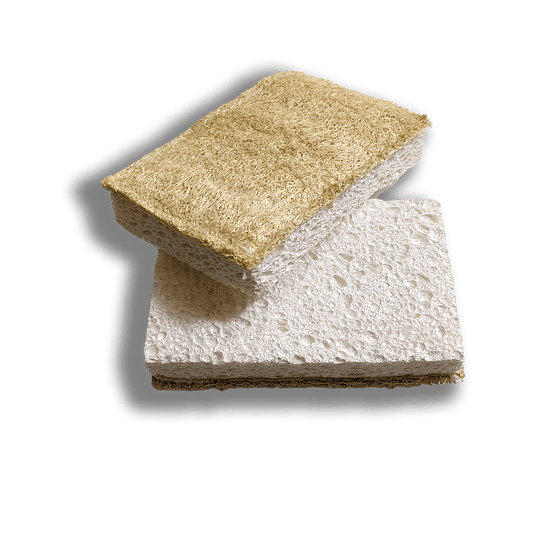 Dual-Sided Eco-Sponge